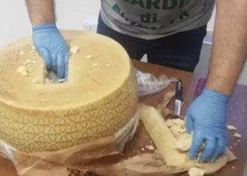 Fshehën kokainën në rrotat e kaçkavallit, dënohen me burg tre shqiptarët