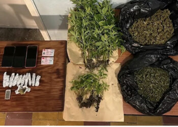 Arrestohen 2 shqiptarë në Spanjë, mbollën kanabis në shtëpi sepse…