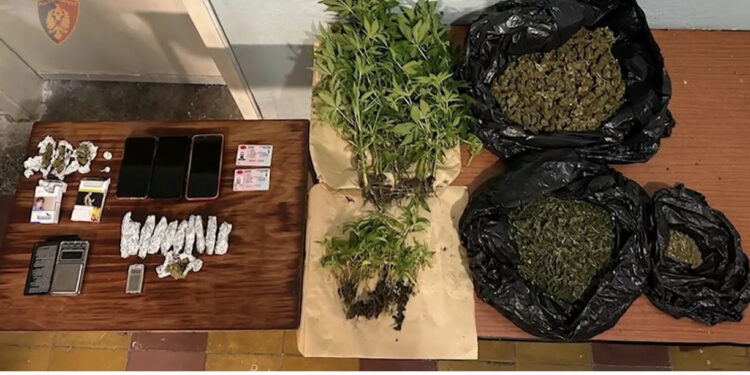 Arrestohen 2 shqiptarë në Spanjë, mbollën kanabis në shtëpi sepse…