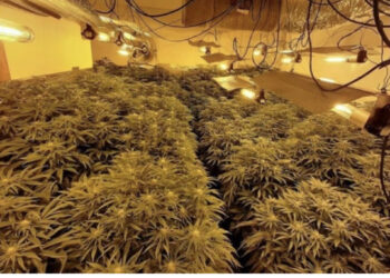 Ktheu ish-redaksinë e gazetës në shtëpi bari, burg për shqiptarin në Britani!