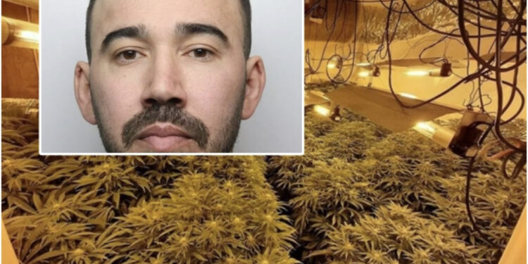 U fut në borxhe për të vajtur në Britani, shqiptari kapet brenda ‘shtëpisë së barit’