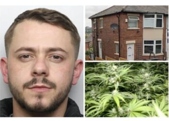 EMRI+FOTO/ Merrej me kujdesin e kanabisit, në pranga shqiptari në Leeds