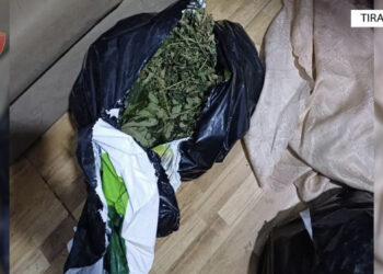 EMRAT/ Sekuestrohen 10 kg kanabis, vihen në pranga tre persona në Tiranë