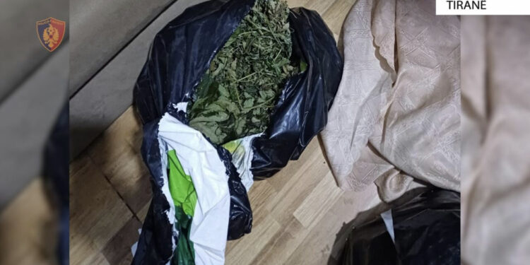 EMRAT/ Sekuestrohen 10 kg kanabis, vihen në pranga tre persona në Tiranë