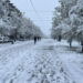 Bëhuni gati! Marsi rikthen borën dhe dimrin, meteorologja: Temperaturat do ulen