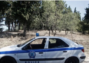 E rëndë/ Burri gjendet i copëtuar brenda qeses së plehrave