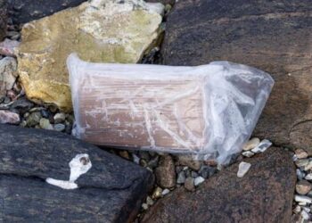 Kapet kokainë me vlerë 10 milionë euro në Slloveni, arrestohet një shqiptar dhe një brazilian