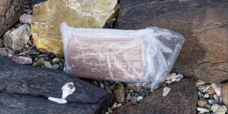 Kapet kokainë me vlerë 10 milionë euro në Slloveni, arrestohet një shqiptar dhe një brazilian