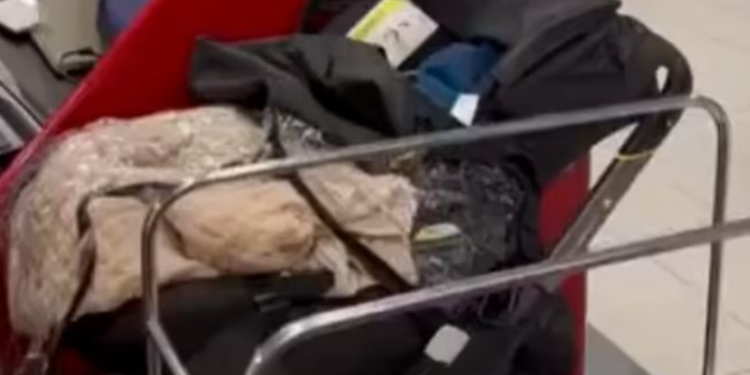 VIDEO/ Çnjerëzore, prindërit braktisën fëmijën në avion pasi nuk i kishin prerë biletë për udhëtim