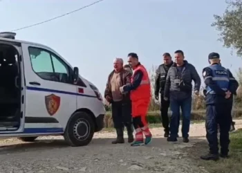 Plumbin vëllait për pronën, zbardhet dëshmia e 77-vjeçarit në Lushnjë: Doja të vrisja dhe veten, por pashë që Hazisi ishte gjallë