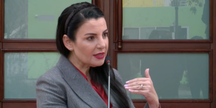 A do të trajnohen ushtarë ukrainas në bazën e NATO-s? Balluku nuk përjashton mundësinë…