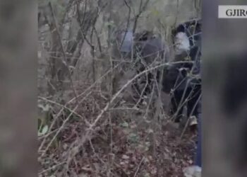 Transportonin emigrantë nga India, arrestohen dy persona në Gjirokastër, në kërkim një i tretë