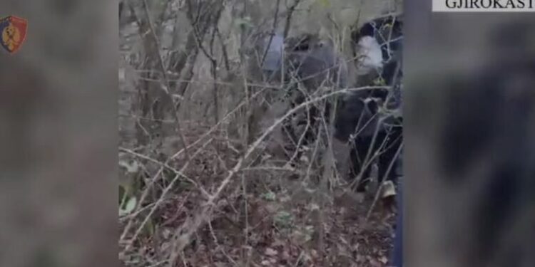 Transportonin emigrantë nga India, arrestohen dy persona në Gjirokastër, në kërkim një i tretë