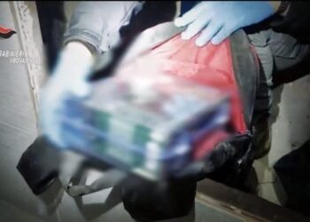 Droga vinte nga Shqipëria/ Operacion kundër bandave të “Ndrangheta” në Itali, ekzekutohen 11 urdhër-arreste