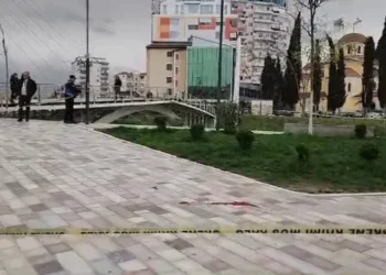 DETAJE/ Vrasja në Fier, autorët dyshohet se janë vëllezër, zënka nisi në rrjetet sociale