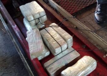 Kishin fshehur drogë në banane, konfiskohen 170 kg kokainë