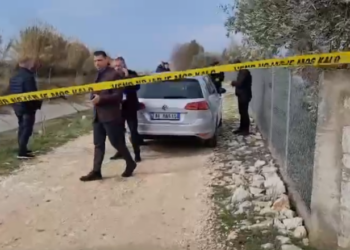 Sherri mes vëllezërve në Lushnjë, njëri qëlloi me armë tjetri me sëpatë, si ndodhi konflikti për pronën