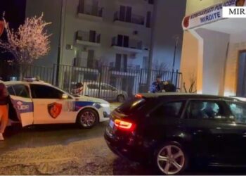 Morën peng 19-vjeçarin dhe e mbyllën në garazh për t’i vjedhur lekët, arrestohen dy të rinj në Mirditë