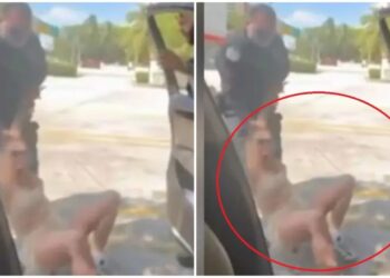 VIDEO/ Policët arrestojnë me forcë këngëtaren, drejtonte makinën me targa diplomatike të rreme