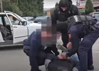 Posedonin 1 mijë fara kanabisi, arrestohen 2 persona në Vaun e Dejës