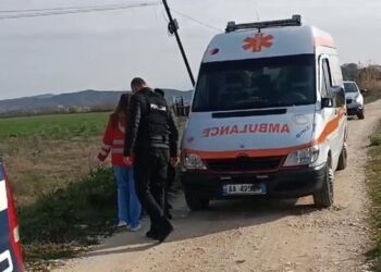 EMRAT/ U zunë për pronat/ Sherr me armë dhe sëpatë mes vëllezërve, njëri në gjendje të rëndë në spital 