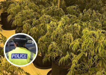 EMRAT/ Kapet një sasi e madhe droge në Skoci, vihen në pranga 6 shqiptarë