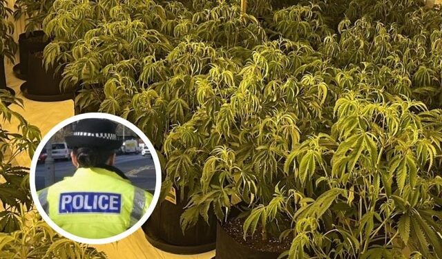 EMRAT/ Kapet një sasi e madhe droge në Skoci, vihen në pranga 6 shqiptarë