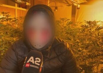 “Shtëpi bari”, prostitucion e lypje/ Djem e vajza shqiptare trafikohen në Europë, 70 prindër të proceduar