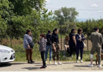 Tragjike! 2 pitbullë kafshojnë për vdekje fëmijën 1-vjeçar