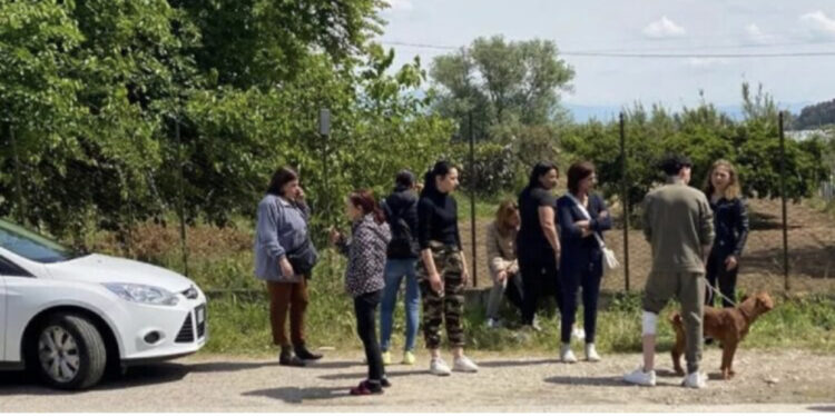 Tragjike! 2 pitbullë kafshojnë për vdekje fëmijën 1-vjeçar