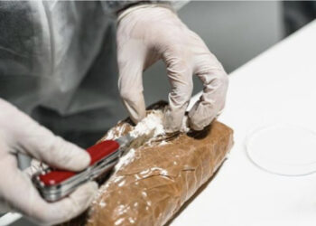 Sekuestrohen rreth 2 mln euro kokainë në portin e Igumenicës, ishte fshehur në një kamion frigorifer