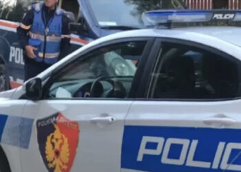 Vodhën kamerat e sigurisë së një biznesi, arrestohen dy ‘skifterët’ e Librazhdit