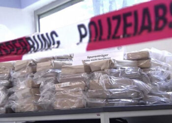 Veprimtaria e mafies shqiptare, klanet me bazë familjare, aktiviteti kryesor droga