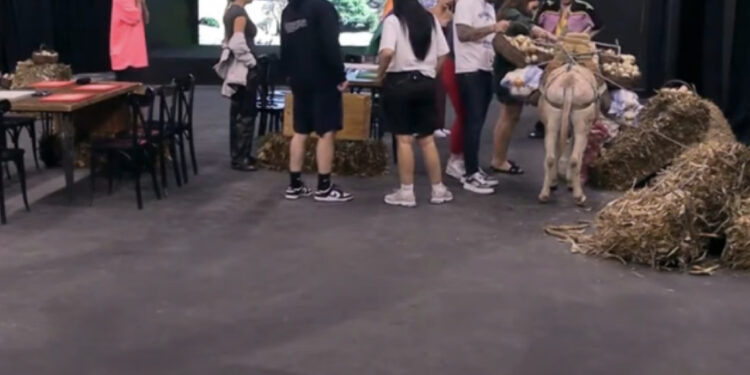 VIDEO/ E papritur! Në shtëpinë e “Big Brother Vip” hyn një gomar, si reaguan banorët 