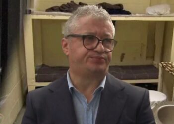 Arritjet e Alfred Fshesës “në epokën digjitale”/Pjesa 2