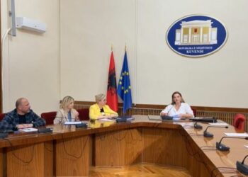 48 kërkesa për informacion, PS bojkoton komisionin për koncesionet, Vokshi: Frikë!