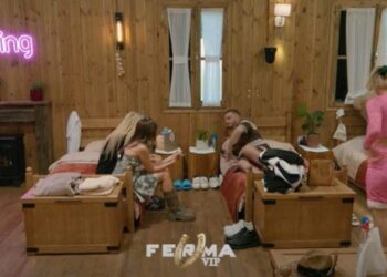 Ditea kryefermere, Dijonisi ka dy fjalë për rolin e saj