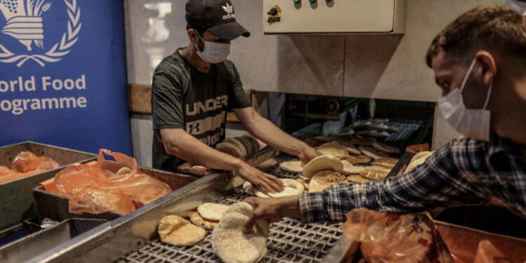 FOTO/ Furrat e bukës rihapen në veri të Gazës pas 170 ditësh