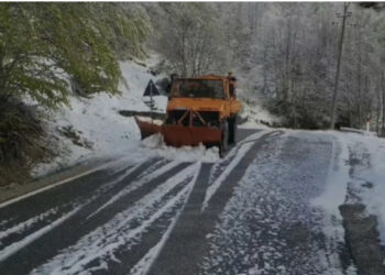‘Plakat e Prillit’ shkundin vendin, Dardha mbulohet nga dëbora