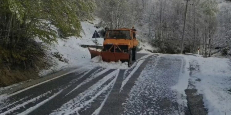 ‘Plakat e Prillit’ shkundin vendin, Dardha mbulohet nga dëbora