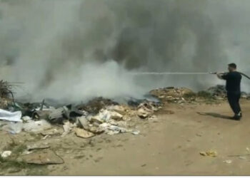 Merr flakë vendgrumbullimi i plehrave në Patos