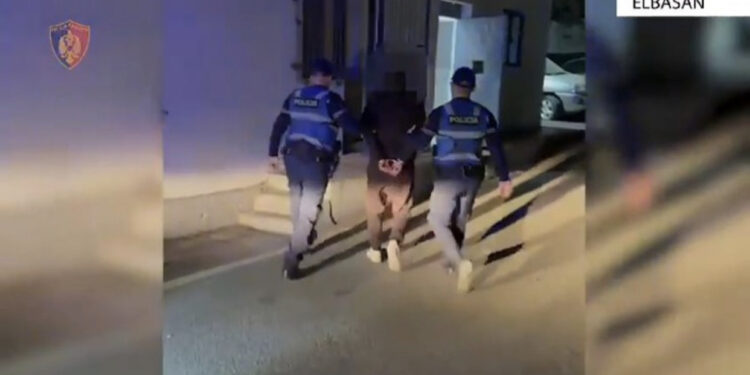 I dënuar më parë për dhunë në familje, i gjendet kallashnikovi në banesë 48-vjeçarit