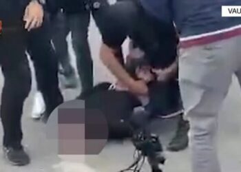 Iu gjetën 2000 fara kanabisi, arrestohet 47-vjeçari në Vaun e Dejës