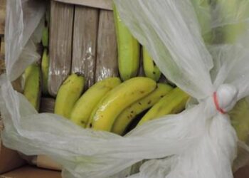 “Kompanitë e bananeve, kamuflazh për trafikun e dogës”/ Europol: Shqiptari siguronte transportin dhe shpërndarjen e kokainës nga Kolumbia