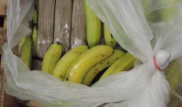 “Kompanitë e bananeve, kamuflazh për trafikun e dogës”/ Europol: Shqiptari siguronte transportin dhe shpërndarjen e kokainës nga Kolumbia