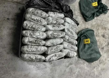 Kapen 40 pako me marijuanë në Mal të Zi, autorët u arratisen drejt Shqipërisë, nisin hetimet