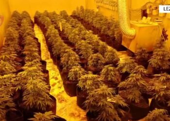 ‘Mos lëvizni’! VIDEO-Momenti i arrestimit të vëllait të deputetit socialist