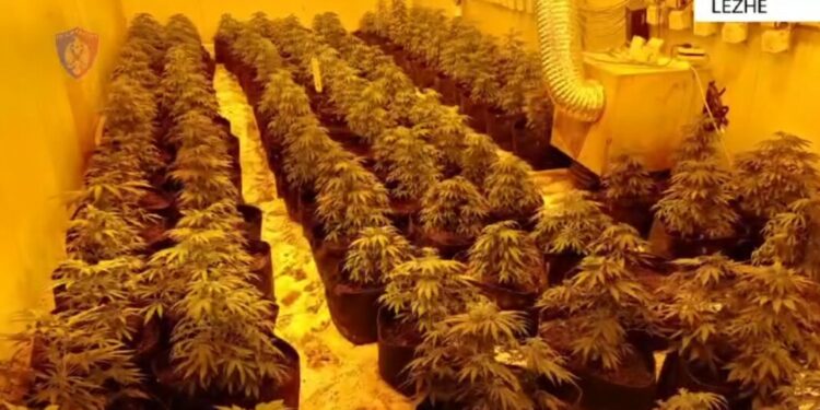 ‘Mos lëvizni’! VIDEO-Momenti i arrestimit të vëllait të deputetit socialist