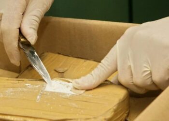 400 mijë euro orë si ryshfet/ Gjyqi i SKY ECC në Belgjikë zbardh pazarin mes zyrtarëve shqiptarë dhe trafikantëve, udhëtimi në Holandë për leje ndërtimi