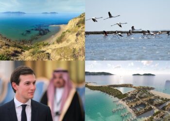 Lumi i fundit i egër i Europës/ Delta e Vjosës dhe lagunat e saj do të bëhen “viktimat” e një sërë investimesh nga Jared Kushner